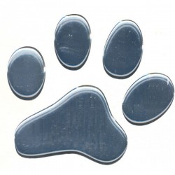 3D Paw - Chrome 30x30 cm