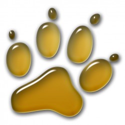 3D Paw - Gold 10x10 cm