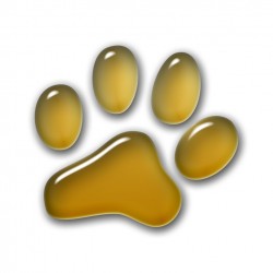 3D Paw - Gold 5x5 cm