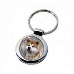 Akita-Inu