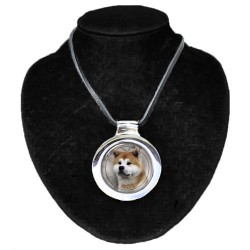 Akita-Inu