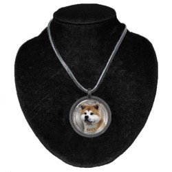 Akita-Inu