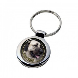 Anatolian Shepherd dog