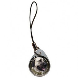 Anatolian Shepherd dog