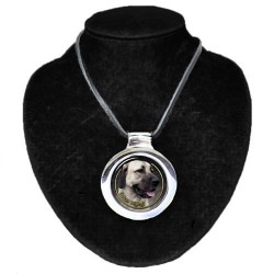 Anatolian Shepherd dog