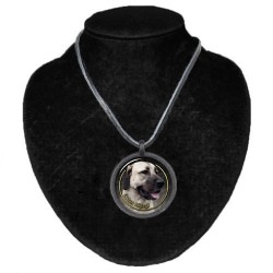 Anatolian Shepherd dog