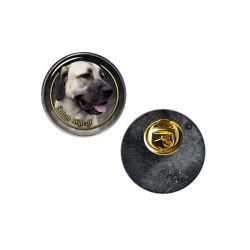 Anatolian Shepherd dog
