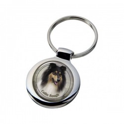 Collie Rough