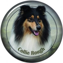 Collie Rough