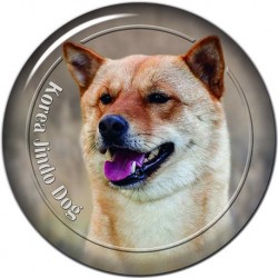 Korean Jindo Dog