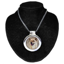 Korean Jindo Dog