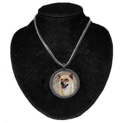 Korean Jindo Dog
