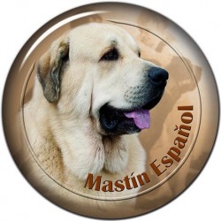 Mastín Espaňol