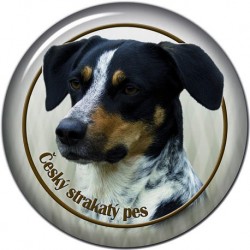Český strakatý pes