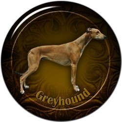 Greyhound