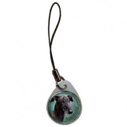 Galgo Espanol