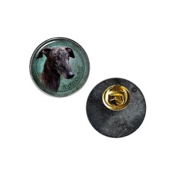 Galgo Espanol