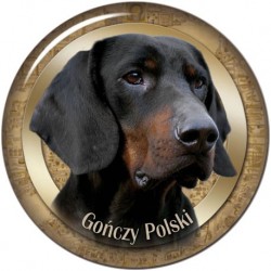 Gończy Polski