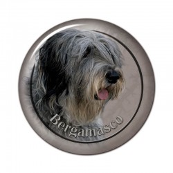 Cane da Pastore Bergamasco