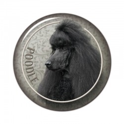 Poodle