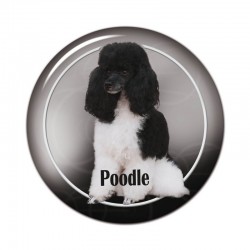 Poodle
