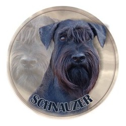 Schnauzer