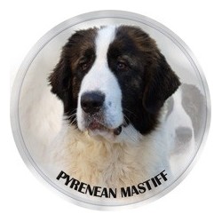 Mastin de los Pirineos 