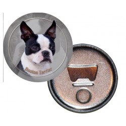 Boston Terrier