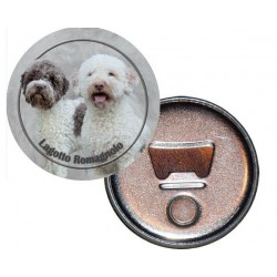 Lagotto romagnolo