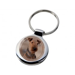 Airedale terier