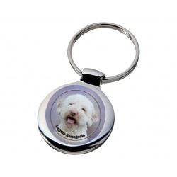 Lagotto romagnolo