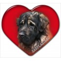 Sharplanina - Yugoslavian Shepherd Dog