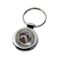Lagotto romagnolo