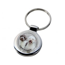 Lagotto romagnolo