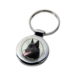 Schipperke