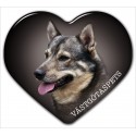 Swedish Vallhund