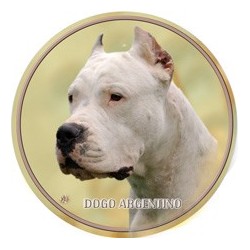 Dogo Argentino