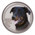 Beauceron