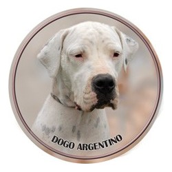 Dogo Argentino
