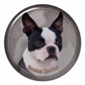 Boston Terrier