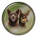 Australian Kelpie