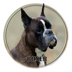 Deutscher Boxer