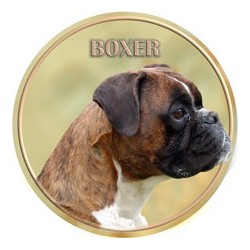 Deutscher Boxer