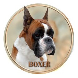 Deutscher Boxer