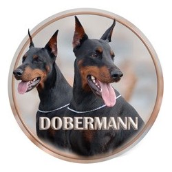 Dobermann