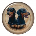 Dobermann