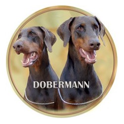 Dobermann
