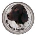 Old Danish Pointer