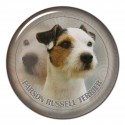 Parson Russell Terrier
