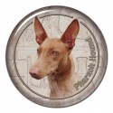 Pharaoh Hound